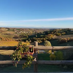 Cantina Visconti - Alloggio per agriturismo